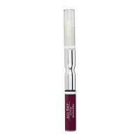 All Day Lip Color & Top Gloss - 65 Fabulous Glitter Metal
